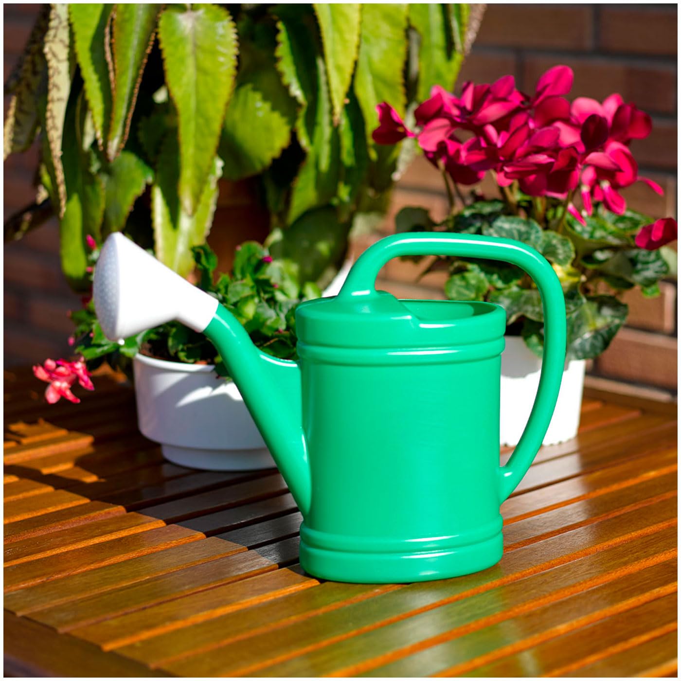 IRRIGATORE AUTOMATICO A BOTTIGLIA ACQUA IRRIGAZIONE AUTOMATICA PER - Foto 13