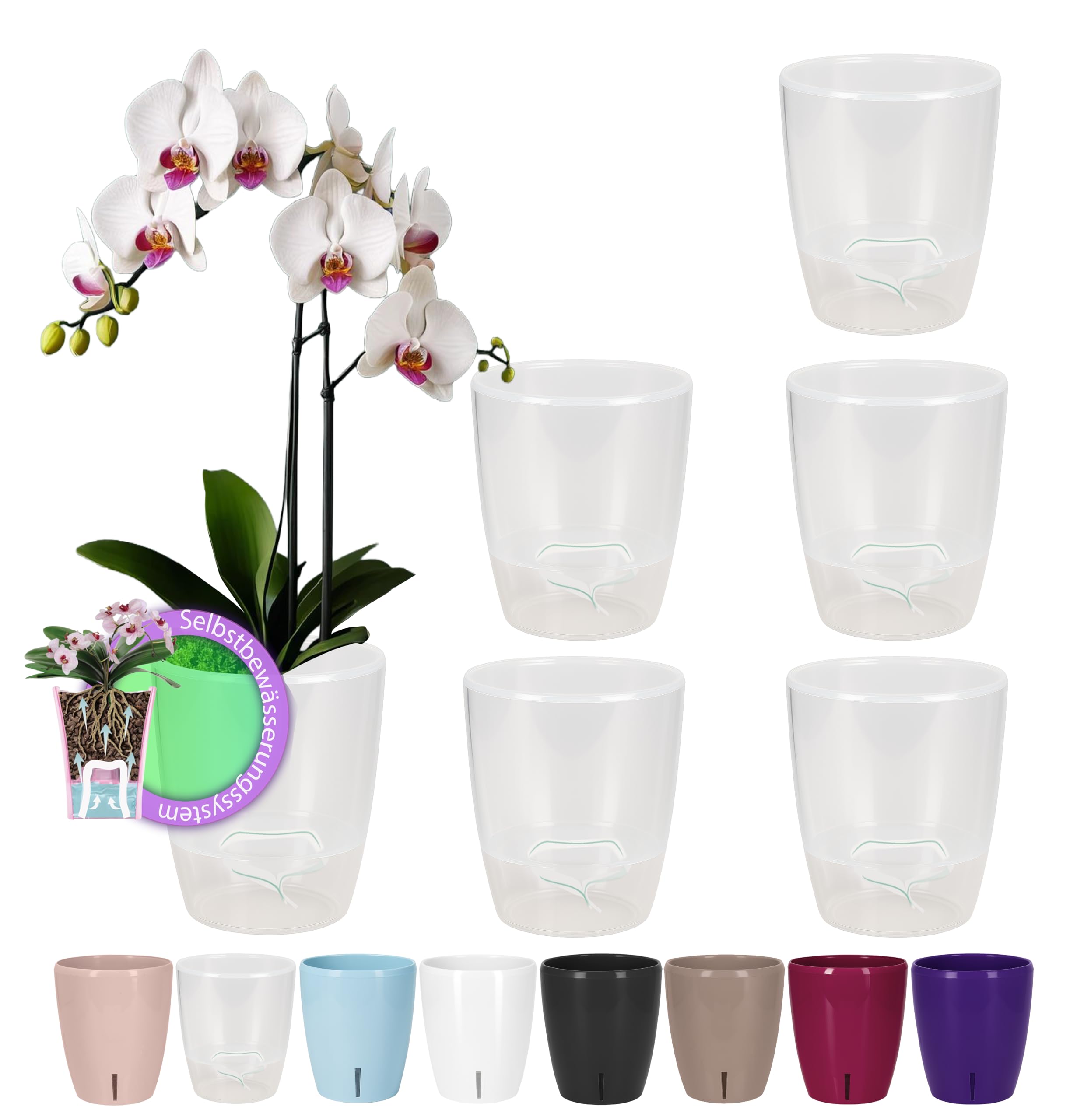 LiveLaif® Vaso per Orchidee Trasparente con Sottovaso e Fori di Drenaggio – Vaso Trasparente per Orchidee Rotondo – Vaso Orchidea per Rinvaso Piante (2, 12cm, Trasparente