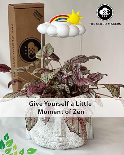 Miniatura 93 de La nube de lluvia original goteante para plantas, nube de lluvia de riego de plantas, regalos para amantes de las plantas, regalos para mujeres