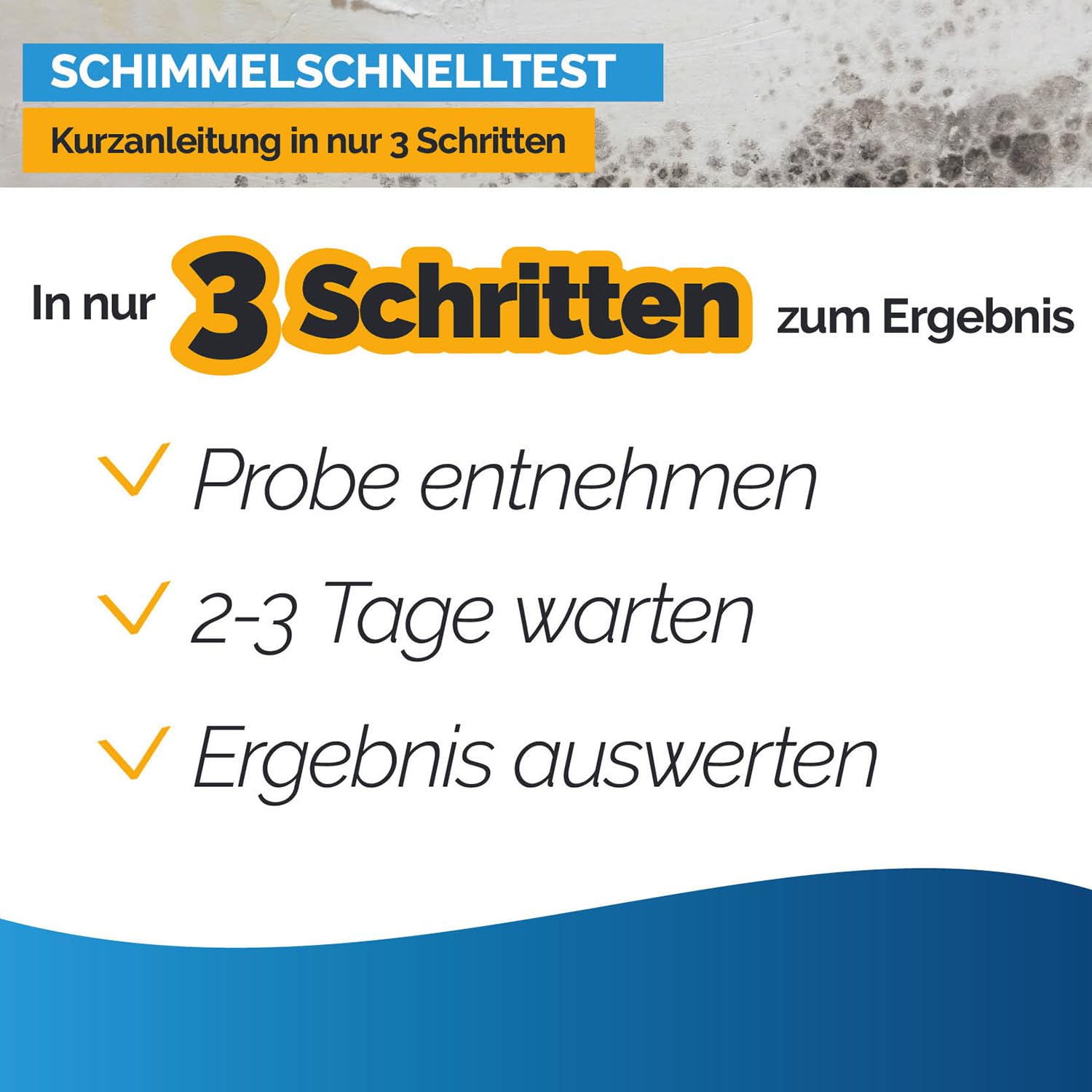 Schimmeltest + Thermohygrometer analog für bis zu 6 Räume | zum Check der Schimmelbelastung, inkl. analogem Thermo-Hygrometer