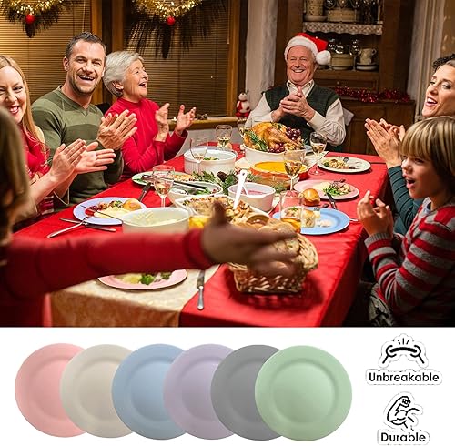 Miniatura 3 de Juego de 6 platos de paja de trigo de 11 pulgadas, juego de platos irrompibles con cepillo para lufa, plato grande de plástico reutilizable, platos