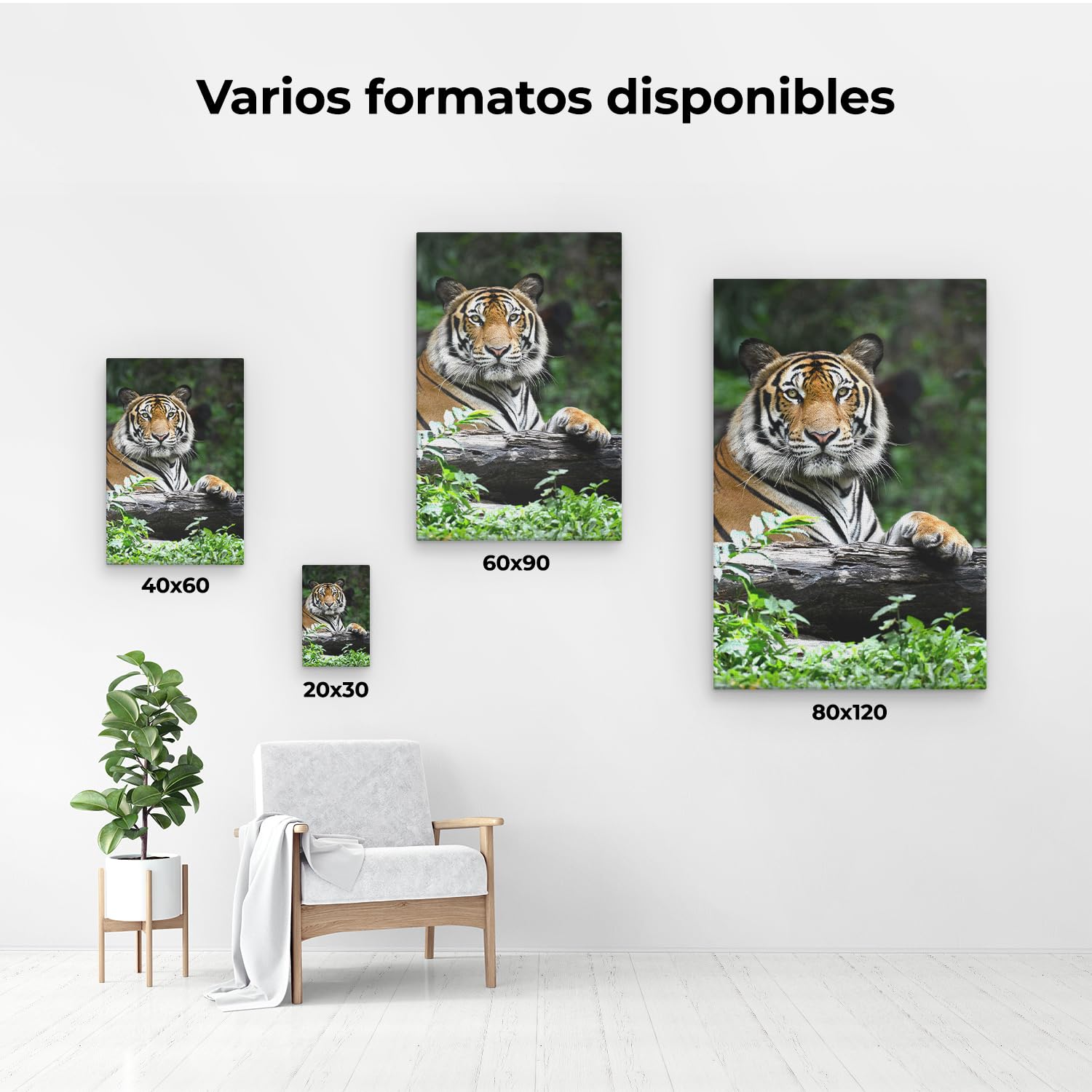 Artaza Cuadros Decoración Salón Modernos Tigre - 80x120 cm - Grande - Cuadros Animales - Decoración Pared - Lienzos - Selva