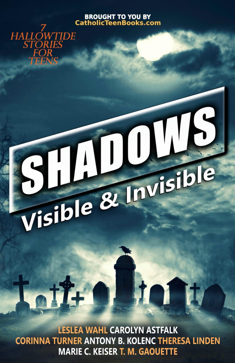 Shadows: Visible & Invisible: 5 (Catholic Teen Books Visible & Invisible Anthology Series)