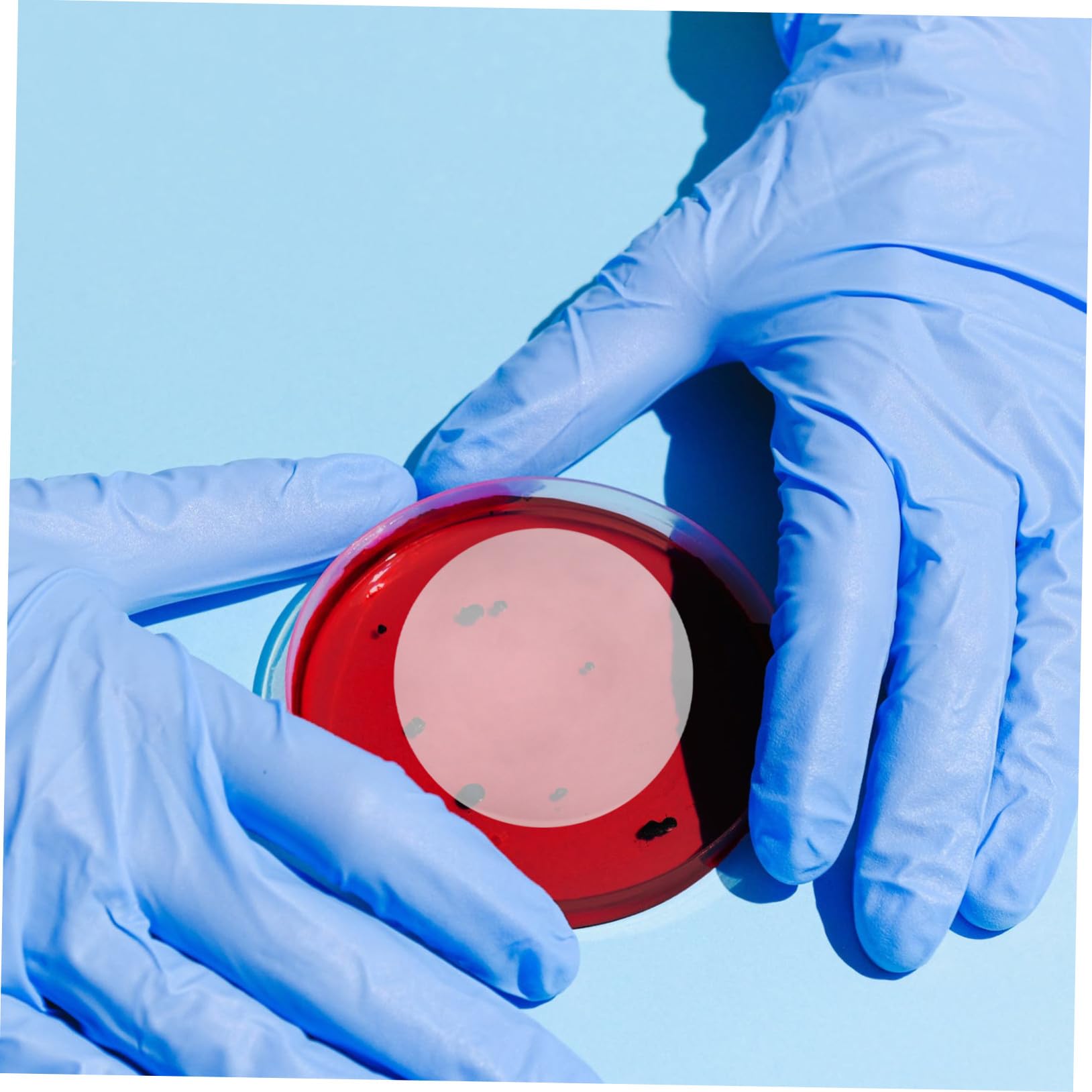 IMIKEYA 10 Pezzi Vetro Trasparente Piatto Vetro Orologio Rotondo Resistente al Calore per Esperimenti Scientifici e Laboratori di Chimica