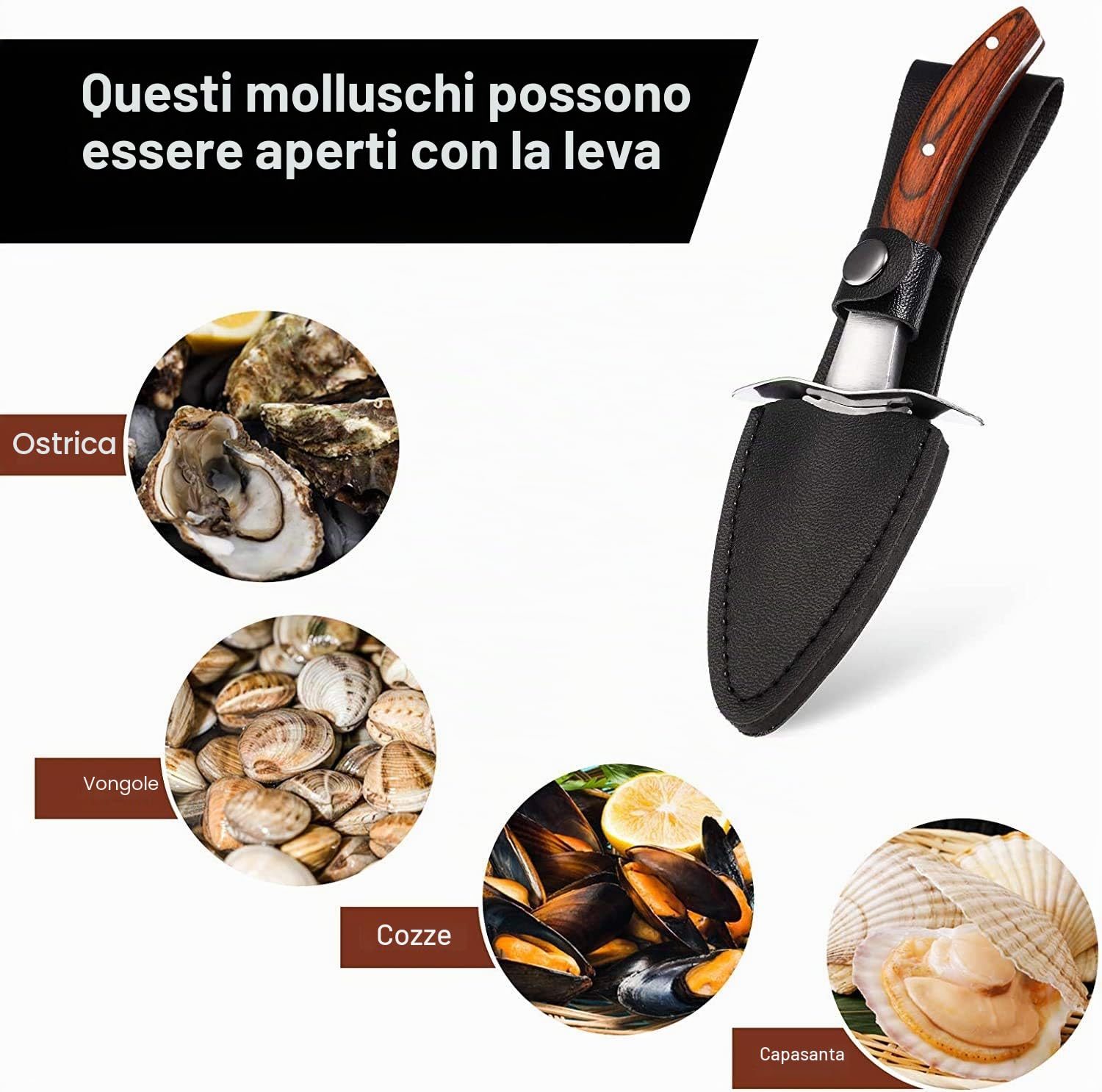 Set con coltello per ostriche e guanti resistenti al taglio, apricostriche, guanti protettivi per conchiglie o formaggi duri. Oyster Knife (cucina, giardinaggio, fai da te) (Nero, Medio)