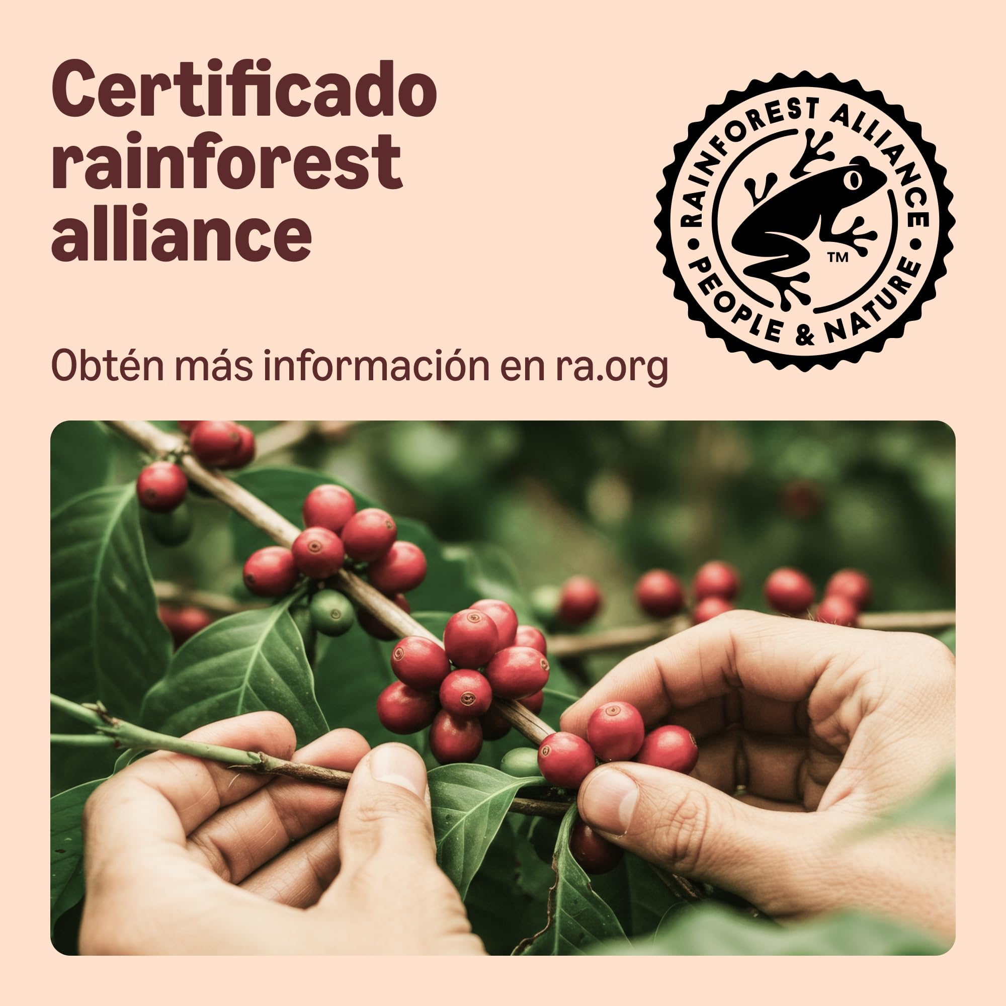 by Amazon Cápsulas de Café Compostables en Casa Compatibles con Nespresso, 100% Arábica Colombiana, 20 Unidades, Certificadas por Rainforest Alliance