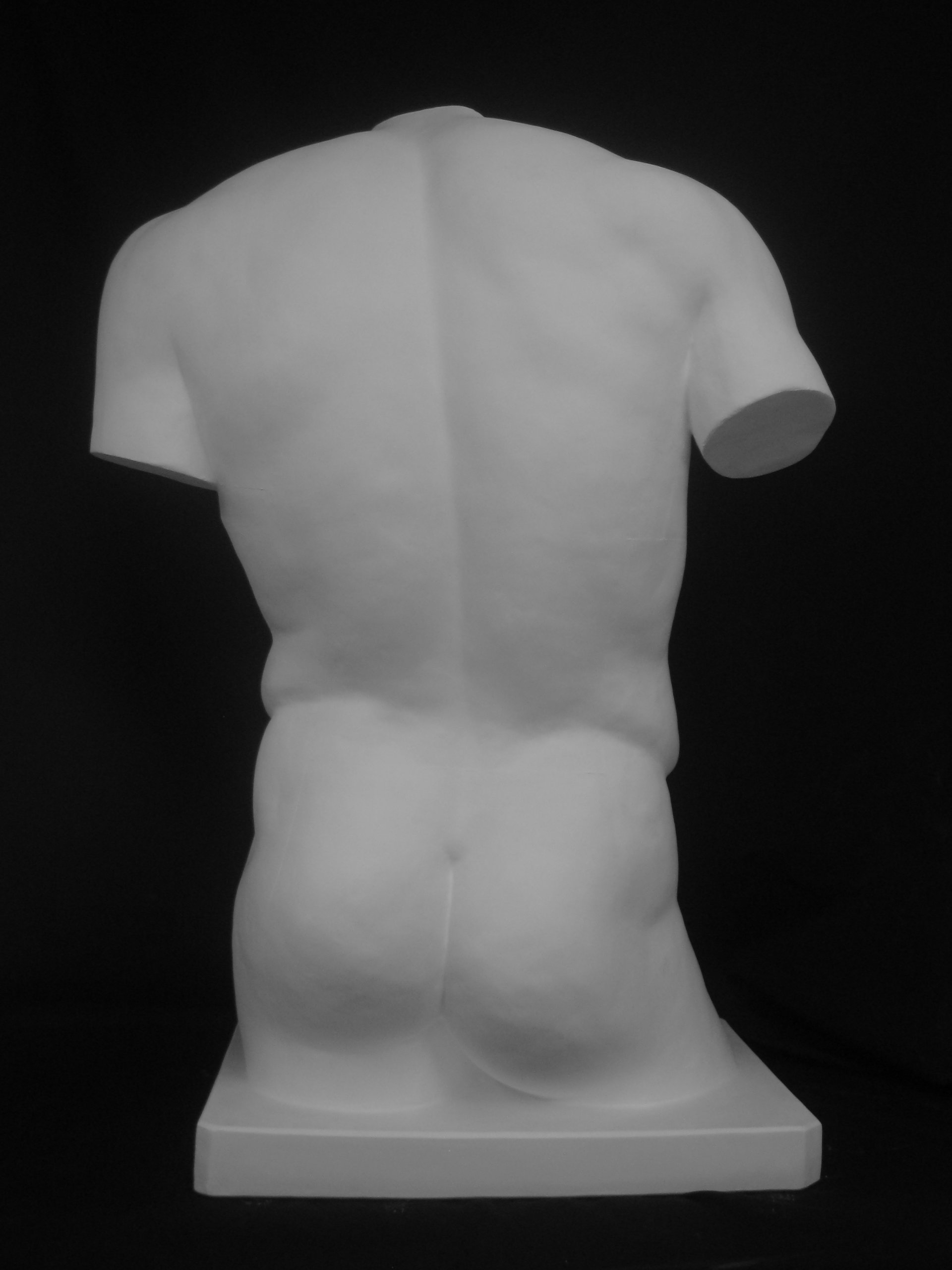 Amazon.co.jp: 石膏像 T－502 トルソー男子 H．90cm