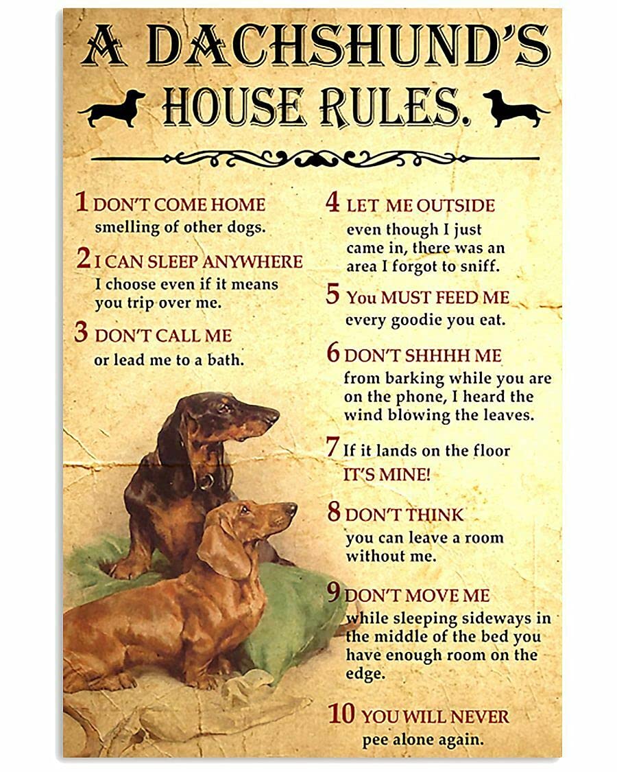 A Dachshund House Rules Retro Metal Tin Signs Christmas Props Decor 8x12 inch