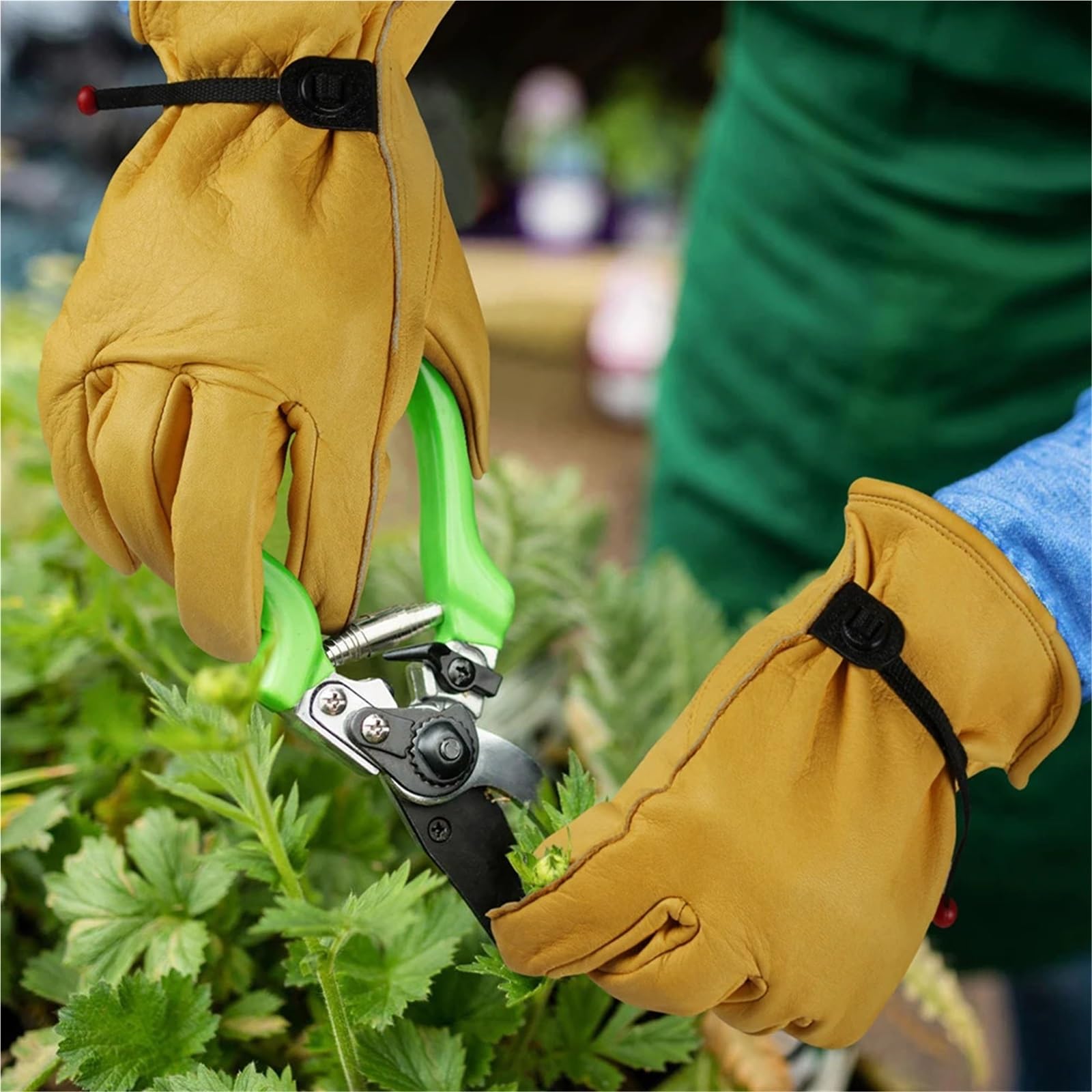 Guanti Da Giardinaggio 1 paio di guanti da giardinaggio Guanti da giardinaggio Guanti protettivi quotidiani resistenti al taglio e resistenti alle spine for potatura di rose Guanti Multifunzionali(M)