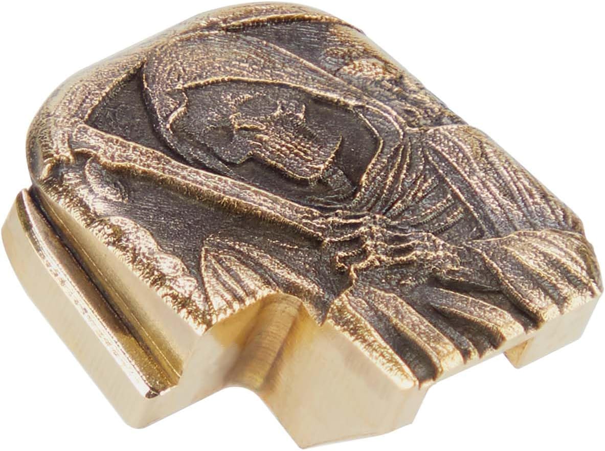 NDZ Performance 3D Engraved Brass Slide Cover Back Plate for Sig P365 P365X P365 XL P365 X Macro P365 Fuse in 9mm .380, P365 Accessories - Choose Design