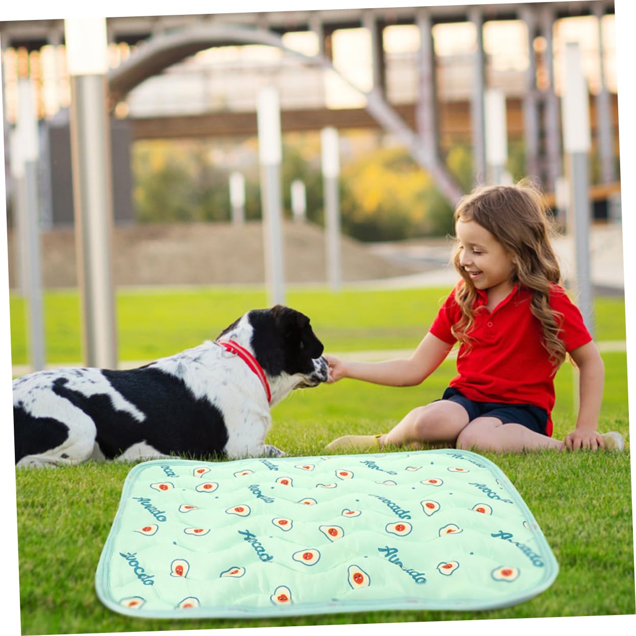 TOYANDONA 3 Series Almohadillas para Orinar De Perros Pequeños Almohadillas para Perro Almohadilla De Orina del Cachorro para Orinar Mascotas Paño 2 Piezas X 3