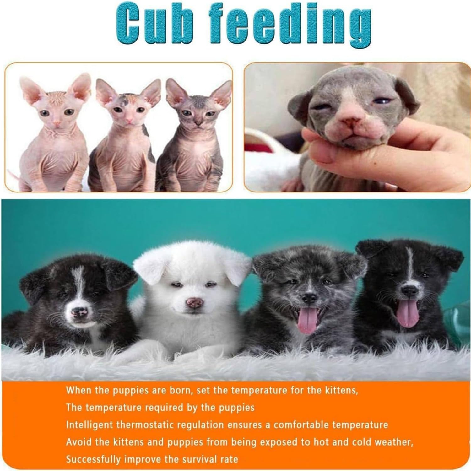 Incubatrice Per Gatti E Cuccioli, Incubatrice Per Animali Domestici Con Riscaldamento, A Temperatura Costante, 60 * 50 * 50cm