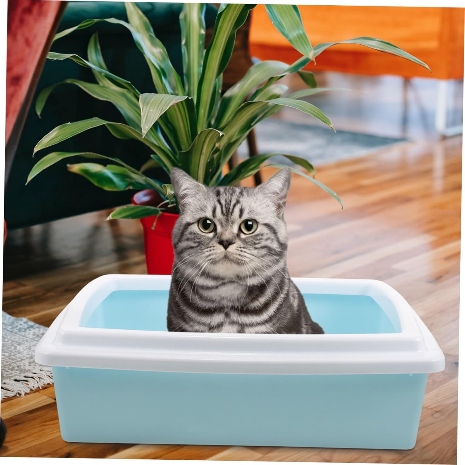 Semi-Closed Cat Litter Box with Scoop Travel-Friendly Design Low Entry for Easy Access Durable Material for Indoor Use and Small Animals