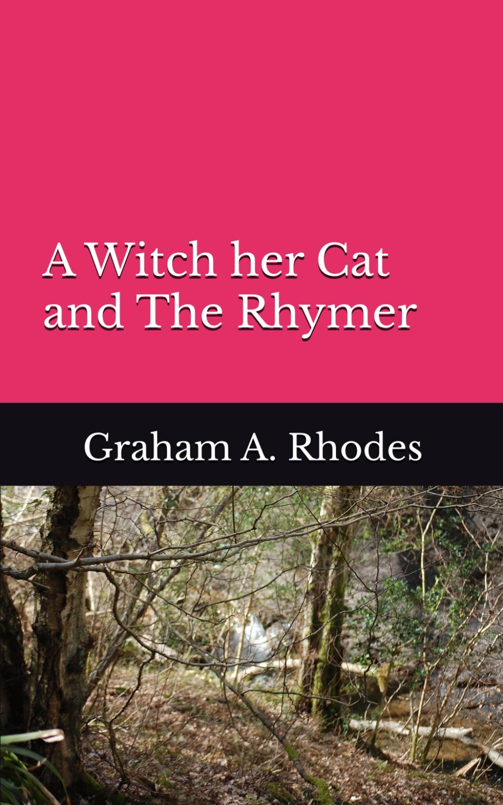 A With her Cat and The Rhymer: A Tale of a Scarborough Witch, her Cat and a Search for a Fairy Queen: 12 (Agnes the Scarborough Witch)