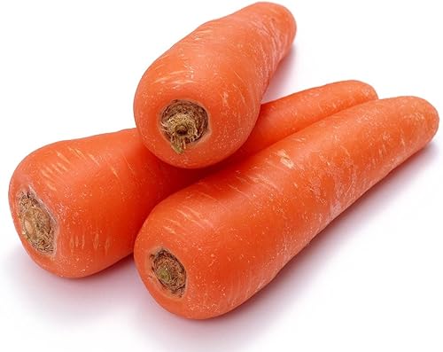 Miniatura 4 de Semillas Zanahoria Gigante Rojo Heirloom Vegetal No OGM