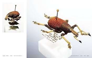 Amazon.co.jp: 昆虫展足の世界 : 福井 敬貴, 小林 一秀: 本