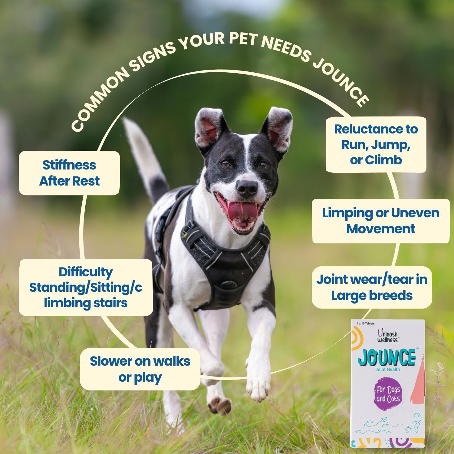 Jounce® Hip & Joint Supplement for Dogs, 100 Crunchies for Stiffness, Limping, Joint Pain & Dogs Prone to Hip Dysplasia with Collagen, Boswellia Serrata & Chondroitin for Mobility & Cartilage Support — Amazon image 7