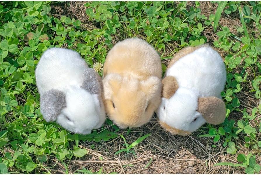 Amazon.co.jp: 吉徳 りくのなかまたち ロップイヤーウサギ ぬいぐるみ