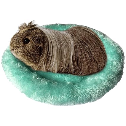 BWOGUE Hamster Bed