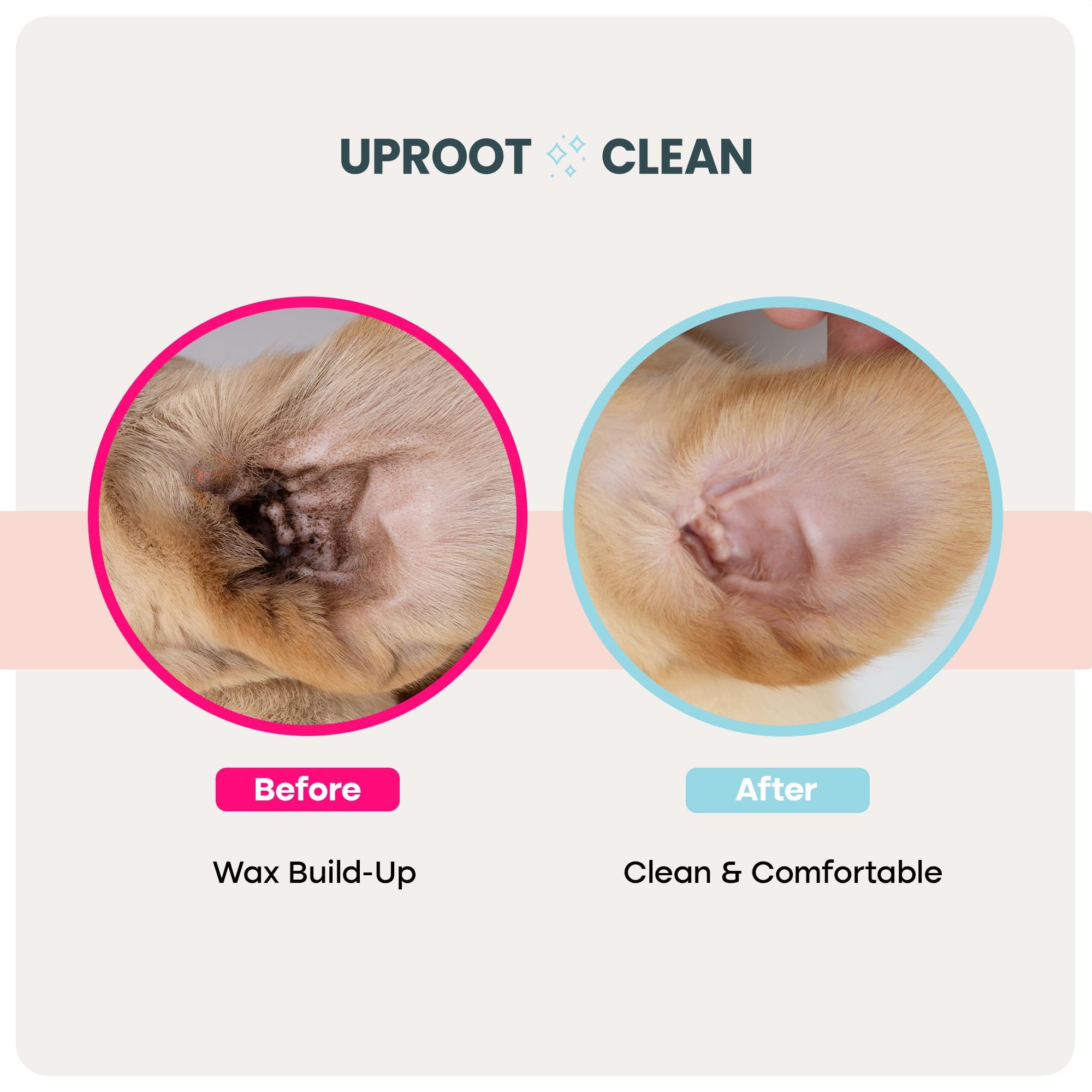Uproot Clean Cat & Dog Ear Cleaner Finger Wipes (50ct.): Disposable Dog Ear Wipes Enriched with Shea Butter & Jojoba Oil - Cleaner Removing Wax Build Up, Help with Odor Discomfort - image 7