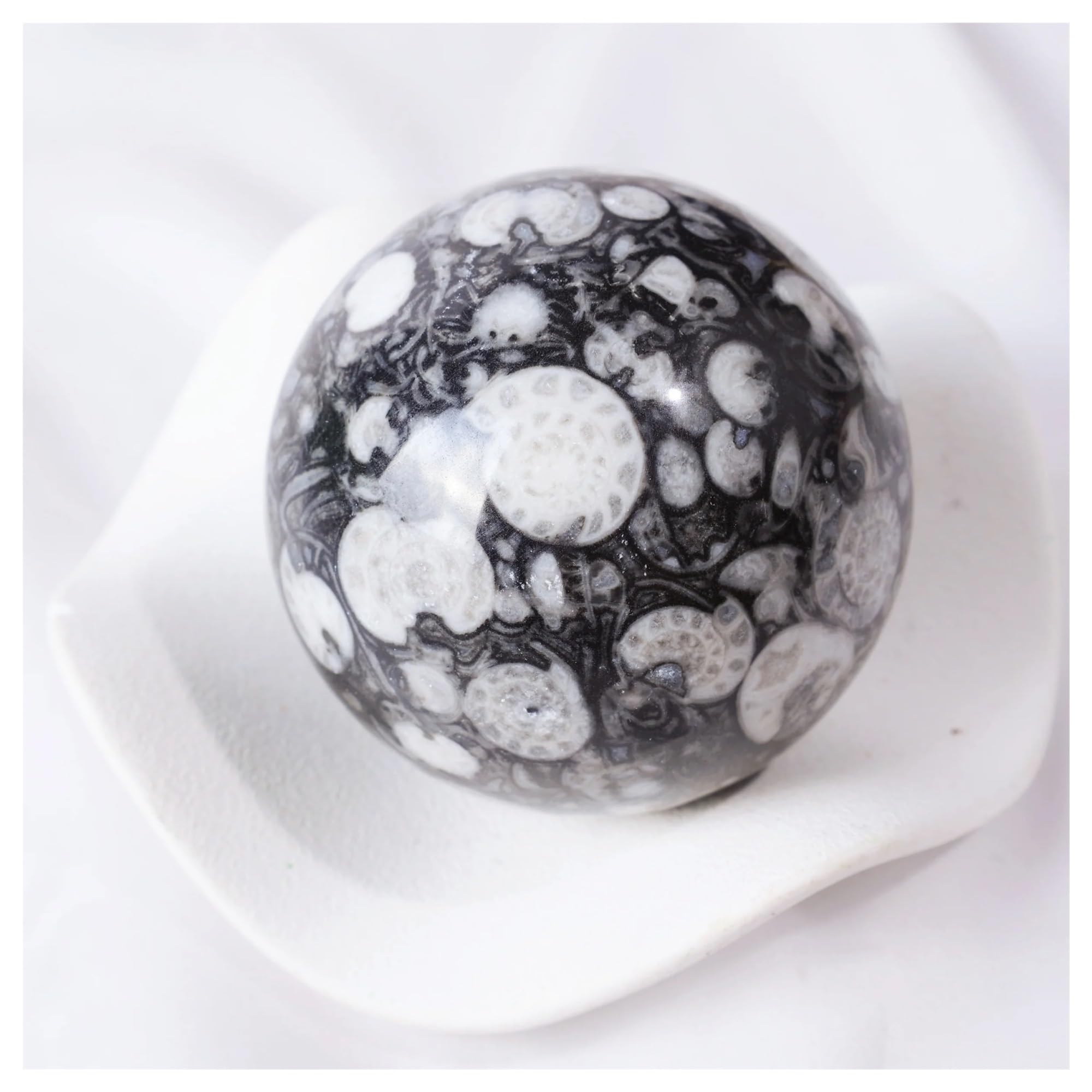 NHKSFBLQ 1pcs 6-6.5cm Nature Shell Jasper Sphere Crystal Jade Ammonite