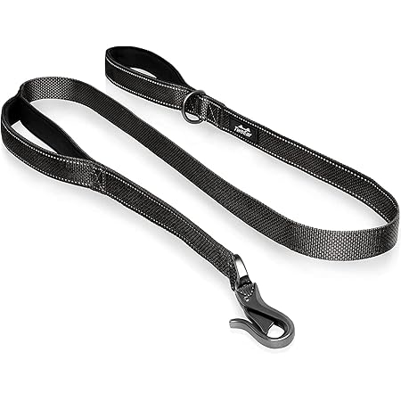 VIVAGLORY Dog Leash – Padded Handle, Reflective, Heavy Duty Nylon For Training