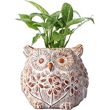 Owl Planter, Creative Handpainted owl Resin Planter Pot for Indoor Plants, Decorative Table Ornaments Crafts Flower Pot for Balcony Garden Living Room