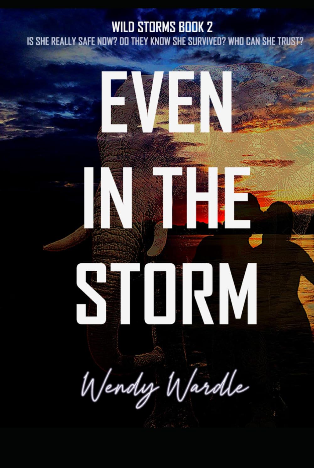Even in the Storm: Wild Storms Book 2