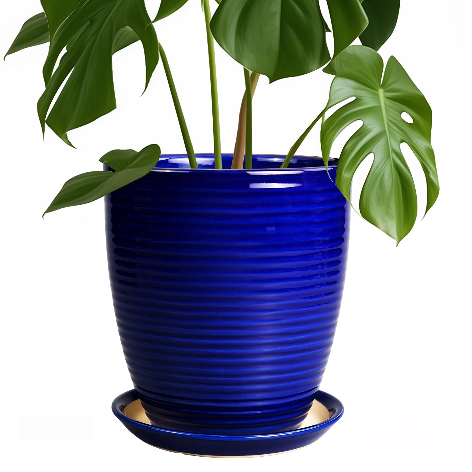 EPFamily Round Ceramic Planter