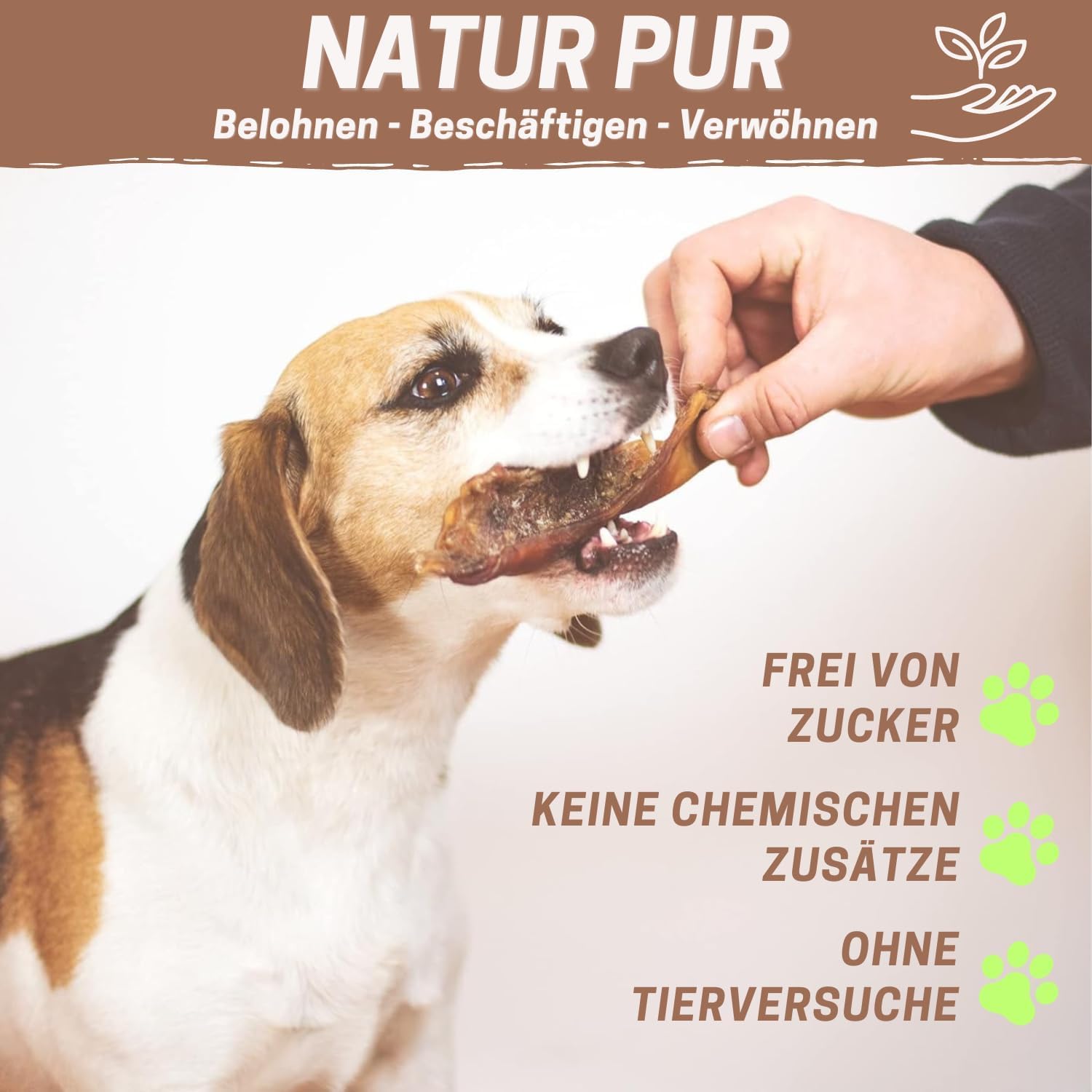 Rinderkopfhaut 1000g der Premium Kausnack für Hunde von PrideDogs | 20cm/Stück | 100% Rind Deutscher Herstellung | Zahnpflege