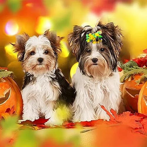 Miniatura 7 de PET SHOW 20 unids10 pares de lazos para el pelo de perro rizado con bandas de goma para perros pequeños y medianos en espiral, remolinos en espiral