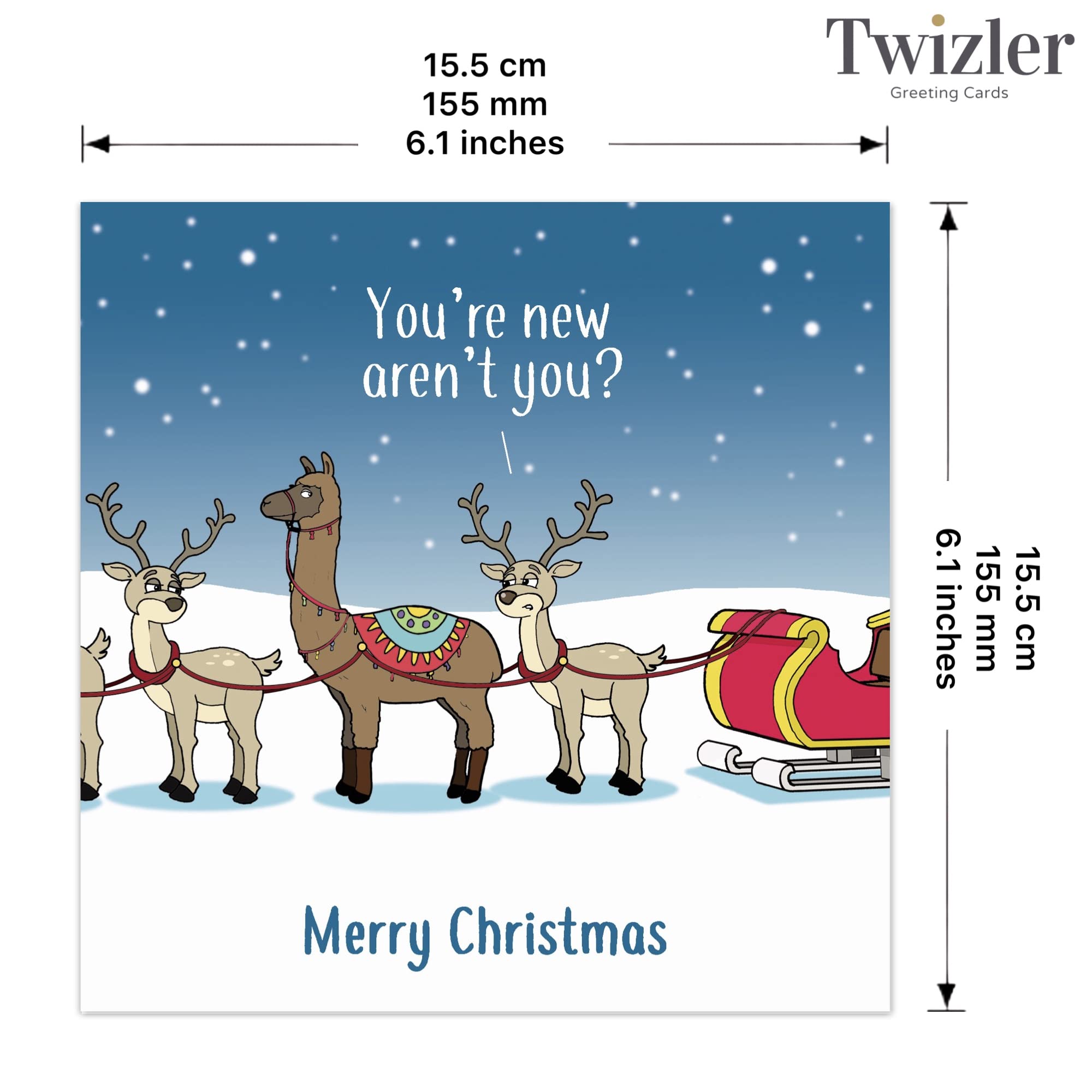 Biglietti Auguri Natale Da Stampare Divertente Biglietto Di Natale Oche  Presentano - Divertente Biglietto Di Natale - Biglietto Di Natale Lui  Marito Papà Figlio - Biglietto Di Buone Feste Sua Moglie Mamma, image size:2000x2000