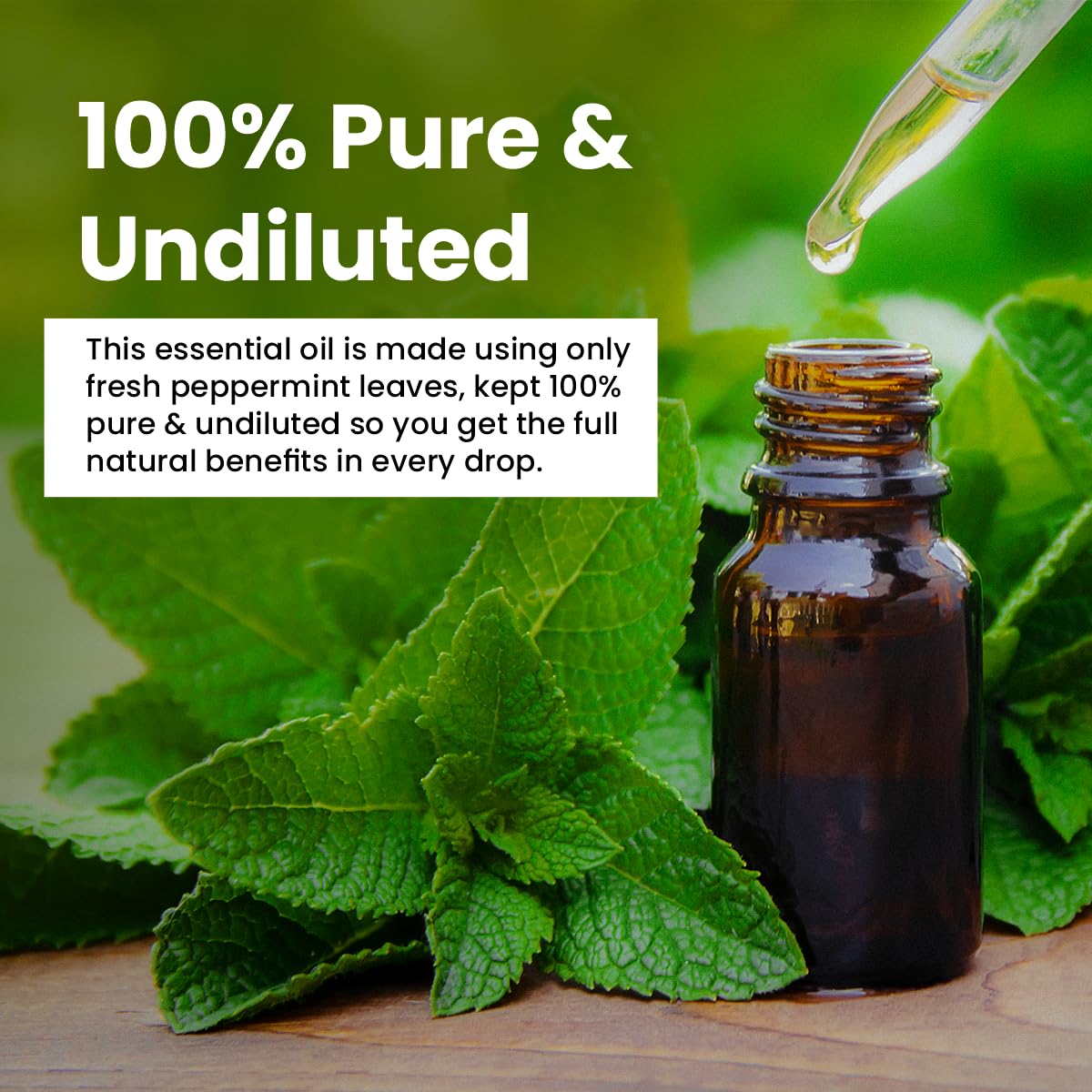 Herb Tantra Peppermint Essential Oil | 100% Pure, Natural, Undiluted, Respiratory Support, Cooling, Focus, Muscle Relief, Candle & Soap Making | 15 ml 2