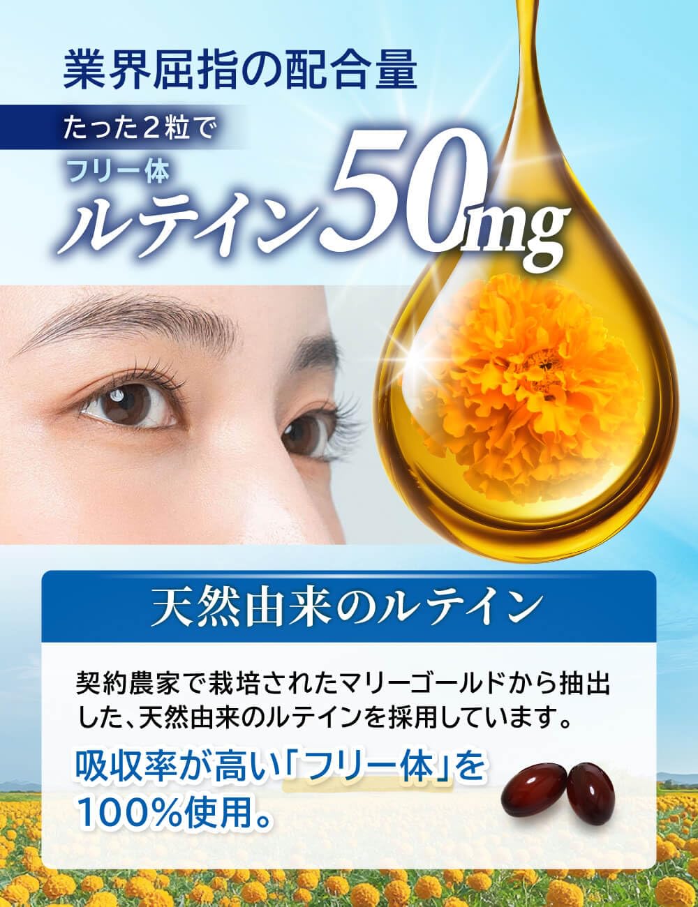 Amazon | 【2袋セット】豊潤ルテイン50 ルテイン サプリメント 全25