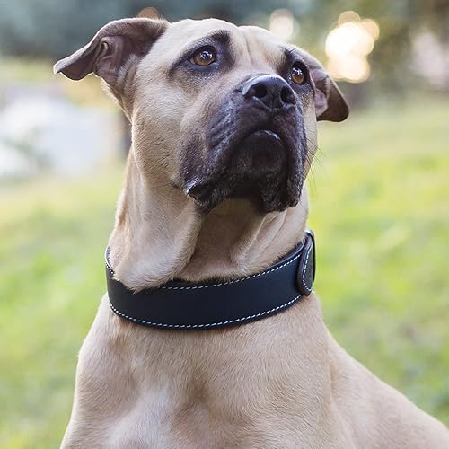 Miniatura 6 de TUBERK Vegetable-Tanned Leather Dog Collar for Large Dogs - Heavy Duty and Luxury Design Dog Collars