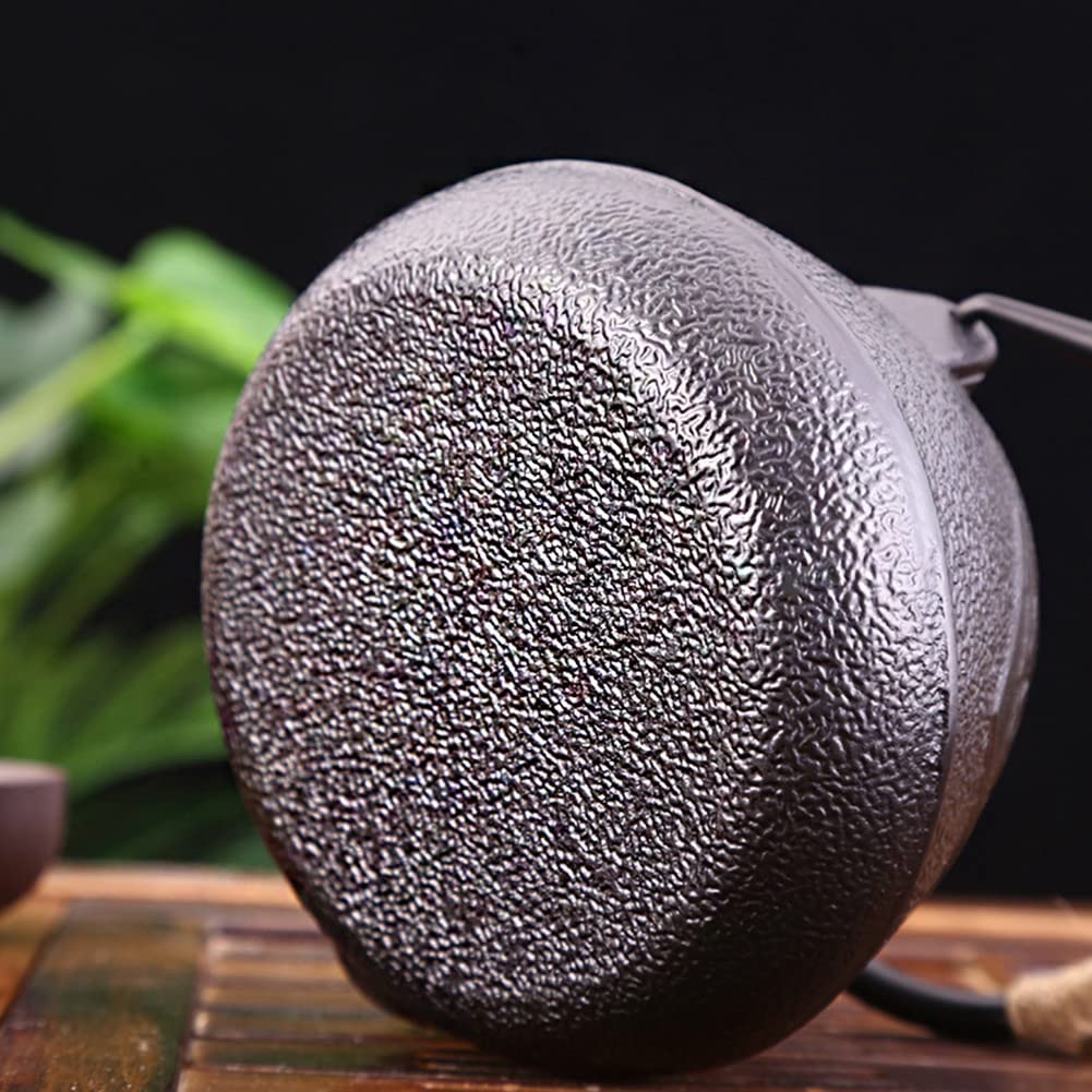 Amazon｜南部鉄器 鉄瓶兼用急須 鋳物 茶こし付き ホーロー無し 鉄