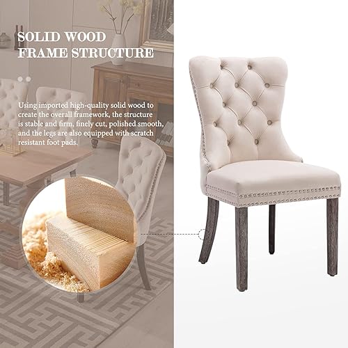 Miniatura 6 de Juego de 2 sillas de comedor de terciopelo, sillas de comedor copetudas con ribete de anillo de clavo, sillas de comedor tapizadas con patas de