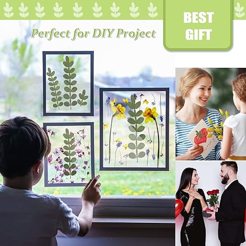 Miniatura 3 de Hojas secas prensadas naturales para resina 42 piezas de hojas espinosas secas reales para arte de resina manualidades álbumes de recortes velas