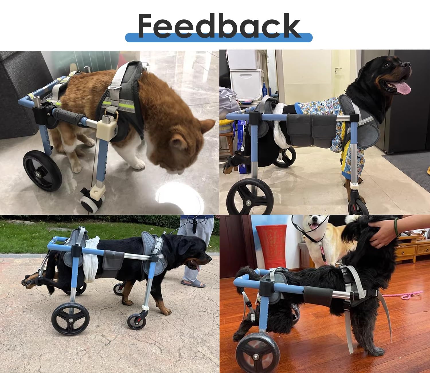 ENHEN Dog Wheelchair 4 Wheels Wheelchairs for Large Dog, Comfortable Full Support Assist Small Doggy Rehabilitation Cart, Sheep Goat Mobility Cart for Aging/Disabled/Injured/Arthritis/Weak(X-Small)