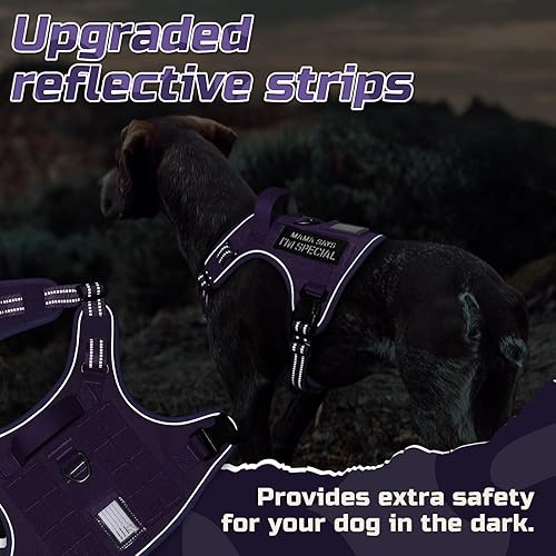 Miniatura 8 de rabbitgoo - Arnés táctico para perros medianos, chaleco de servicio militar sin tirones con asa y equipo Molle, fácil control para entrenar y