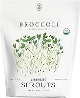 Sereniseed Organic Broccoli Sprout Seeds 8oz - Non-GMO Heirloom USA Grown for Sprouting Microgreens Sulforaphane Boost