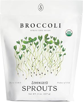 Organic Broccoli Sprout Seeds 8 oz Non-GMO, Heirloom Seeds for Sprouting and Microgreens