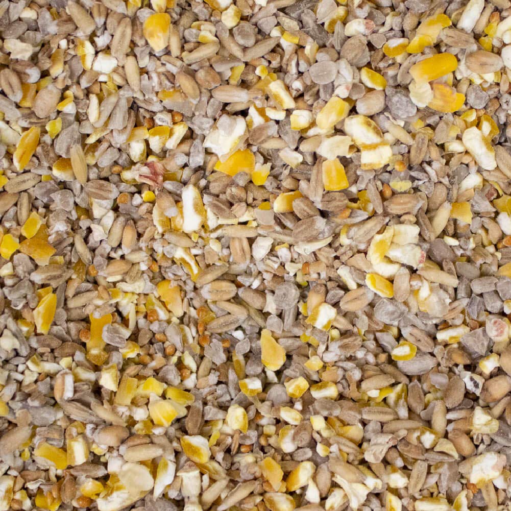 Leagrams Everyday Robin No Mess Wild Bird Seed Mix (5kg)