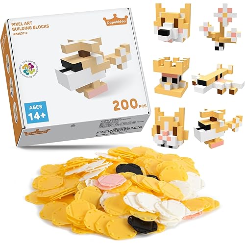 Educational STEM Toys, Building Blocks, Birthday Gift for Teenagers Aged 14+, 200 Pieces Classroom Educational Building Blocks STEM Activity Set