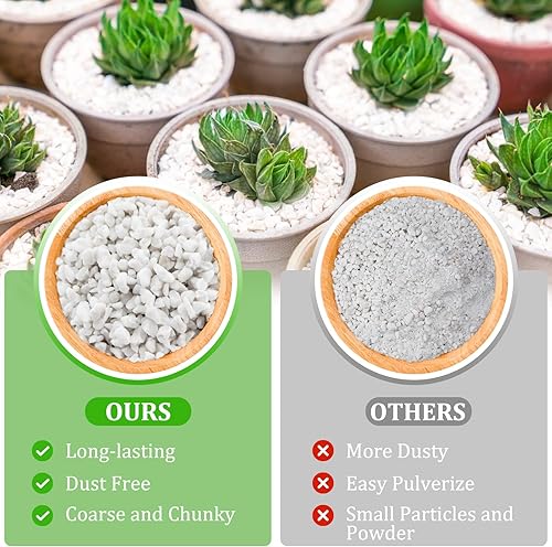 Miniatura 3 de Legigo 10 cuartos de galón de perlita hortícola orgánica para plantas de interior, mezcla de aditivos naturales para suelos hortícolas para mejorar