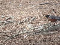 Review Image by Jessica Jessica