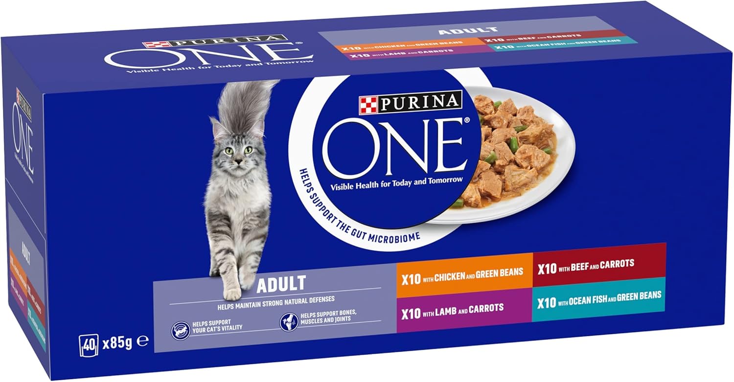 Purina ONE Adult Cat Food Mini Fillets in Gravy 40 x 85 g Amazon.co
