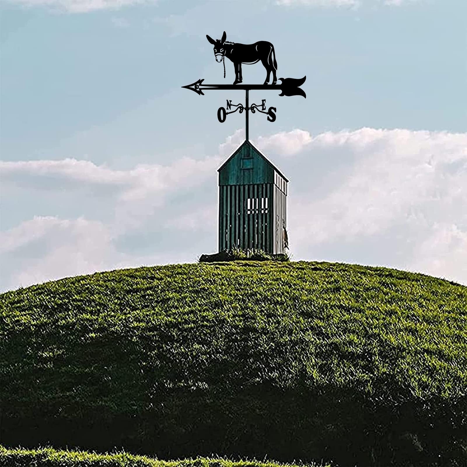 Banderuola In Metallo A Forma Di Aquila - 50x30cm - Stile Vintage Nero - Per Giardino E Tetto - Foto 9