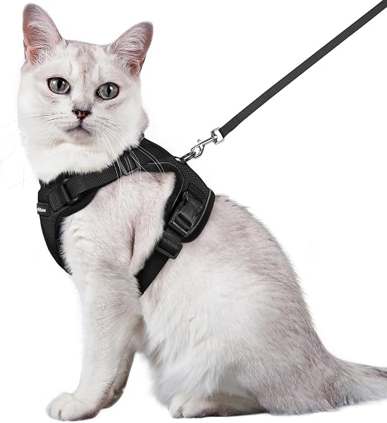Mynwood Cat Jacket Harness Royal Stewart Tartan