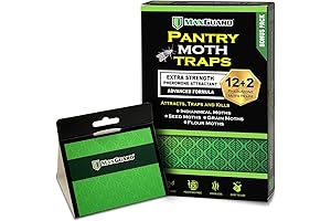 Pantry Moth Traps, Your Secret Weapon Against Household Moths